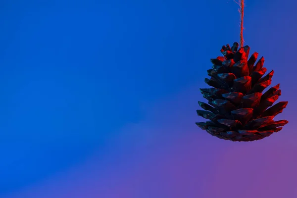 Um grande cone de cedro na corda trava iluminado por luz de néon. E espaço para texto — Fotografia de Stock