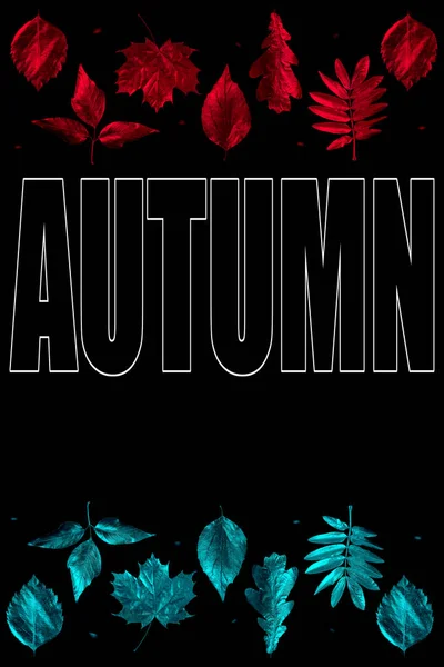 Осенняя композиция из различных золотых листьев и букв на черном фоне — стоковое фото