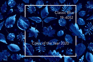 Klasik Mavi işte. 2020 yılının rengi. Açık kompozisyon: Farklı altın sonbahar yaprakları siyah arka planda neon ışığı altında.