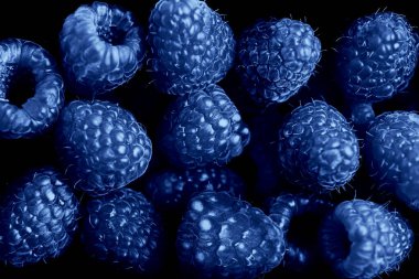 Klasik Mavi işte. 2020 yılının rengi. Ahududu böğürtlenlerinin siyah arka plana saçılması.