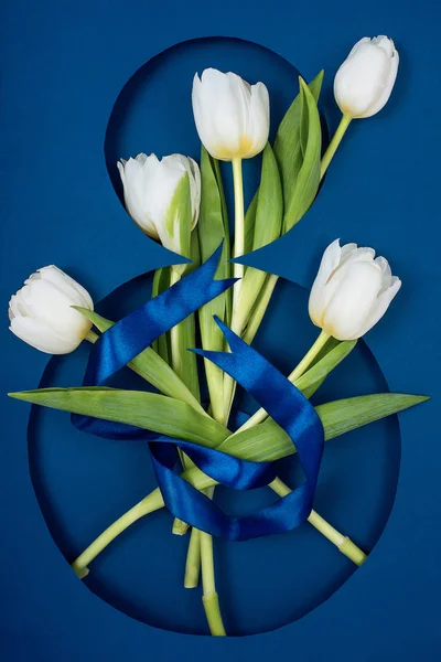 Postkort til den ottende marts. Fem hvide tulipaner i nummer otte. Bundet med et bånd på blå baggrund . - Stock-foto