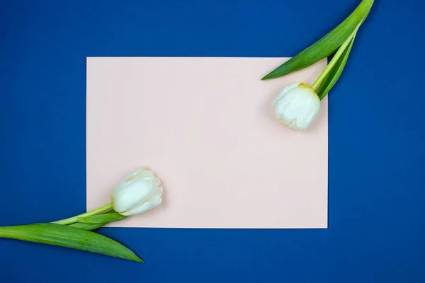 Порожній рожевий паперовий лист і свіжі квіти тюльпанів з зеленим листям на синьому фоні, вид зверху — стокове фото
