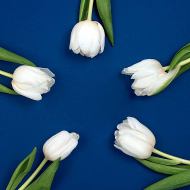 Yukarıdan laleleri ve fotokopi alanı olan hediye kutusunu izle. Kadınlar Günü için arka plan, 8 Mart Sevgililer Günü, 14 Şubat. Düz konum biçimi, üst görünüm, model, şablon, genel görünüm.