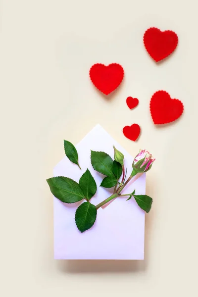 En miniature rosenblomst med blade og hjerter ligger i en kuvert. På en lys baggrund. Valentinsdag koncept . - Stock-foto