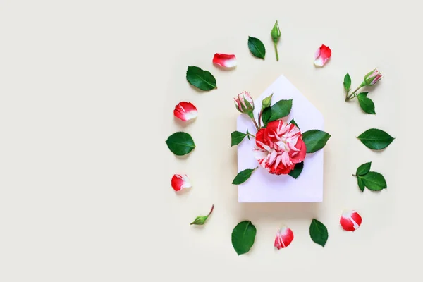 En miniature rosenblomst med blade og kronblade er i konvolutten. På lys baggrund. Begrebet Valentinsdag . - Stock-foto