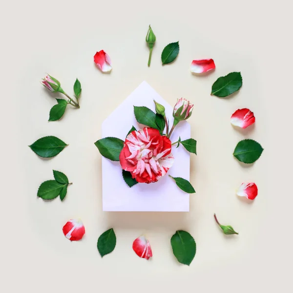Мініатюрна квітка троянди з листям і пелюстками знаходиться в конверті. На фоні світла. Поняття Валентинів день. — стокове фото