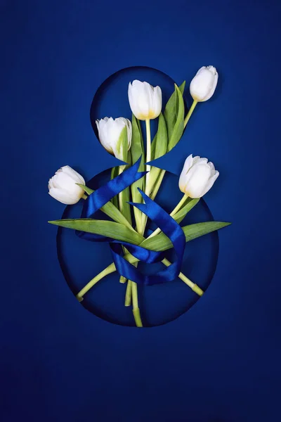 8 Mart için kartpostal. Sekiz numarada beş beyaz lale. Mavi arkaplanda bir kurdele ile bağlanmış.