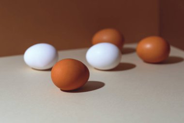 Sert gölgeli beş kahverengi ve beyaz yumurta. Kutunun köşesindeler. Kavram.