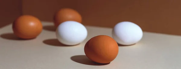 stock image Five brown and white eggs with a hard shadow. They're in the corner of the box. Concept.