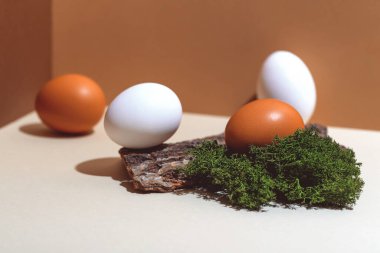 Dört renkli yumurta, doğal malzemeler yosun ve odun. Paskalya konsepti.