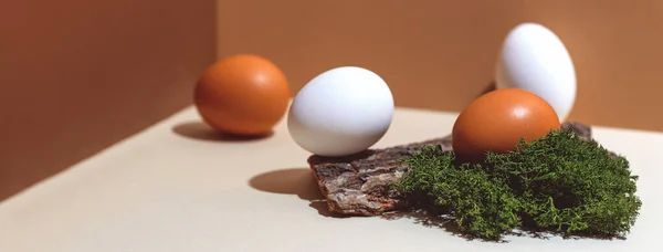 Vier Bunte Eier Und Naturmaterialien Moos Und Holz Osterkonzept Banner — Stockfoto
