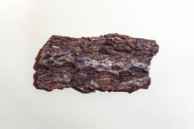 Ağaç kabuğundan yapılmış bir kalas. Hafif arka planda sıkı bir gölgeyle. Kavram