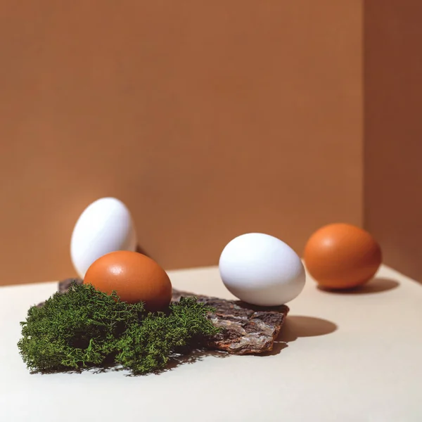 Quatro ovos multicoloridos e materiais naturais musgo e madeira. Conceito de Páscoa — Fotografia de Stock
