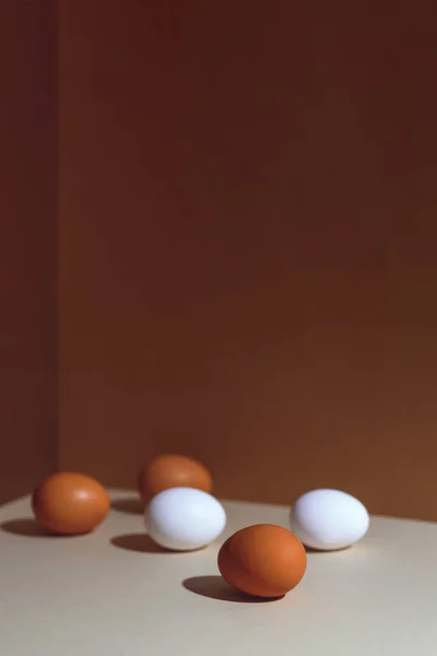 П'ять коричневих і білих яєць з твердою тіні. Theyre в кутку коробки . — стокове фото