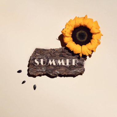 A plank made of tree bark, sunflower and seeds. With a tight shadow on a light background.