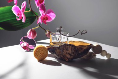 Orkide çiçeği ve farklı malzemelerden oluşan çemberlerle geometrik bileşim. Konsept gri bir arka planda..