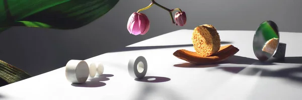 Geometrische Komposition Mit Orchideenblume Und Kreisen Aus Verschiedenen Materialien Das — Stockfoto