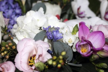 Tatil için bir kova güzel çiçek. 