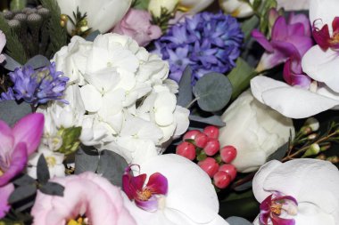 Tatil için bir kova güzel çiçek. Beyaz ortanca.