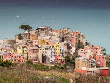Corniglia, Cinque Terre (Five Lands), Liguria, Italy: Beautiful aerial view of a village perched on a hill, typical colorful houses. The Cinque Terre National Park is a UNESCO World Heritage Site.