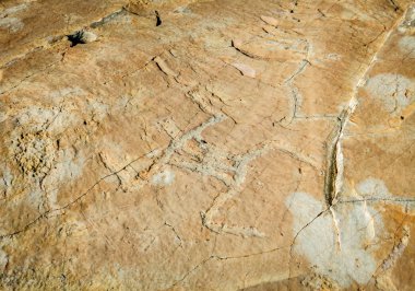 Valley of marvels, Mercantour National Park, France - Rock art: prehistoric Bronze Age petroglyphs with anthropomorphic figures carved or engraved onto a panel (rock surface)