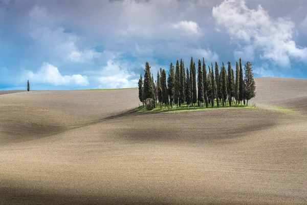 Val Orcia Tuscany Italy March 2018 Tuscany Landscape Cypress Trees — Φωτογραφία Αρχείου