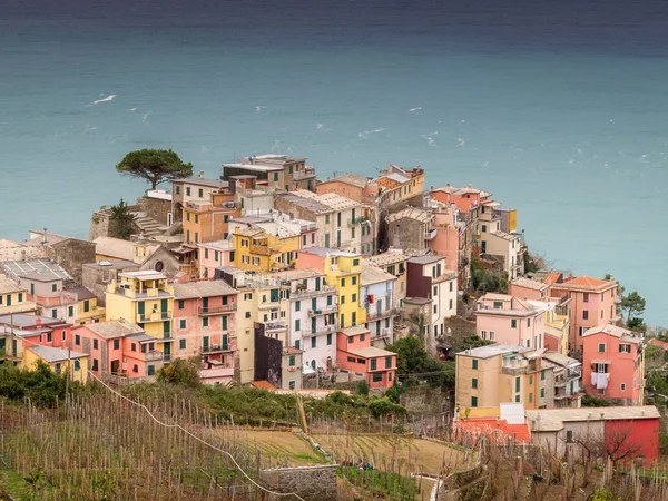 Corniglia Cinque Terre Five Lands Liguria Italy Beautiful Aerial View — Stockfoto