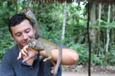 Güzel maymunlar genç adamla etkileşimde. 