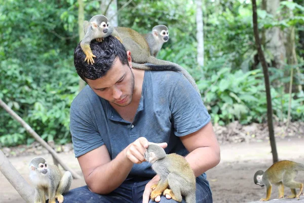 Macacos Bonitos Interagindo Com Jovem — Fotografia de Stock