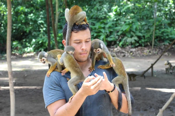 Macacos Bonitos Interagindo Com Jovem — Fotografia de Stock