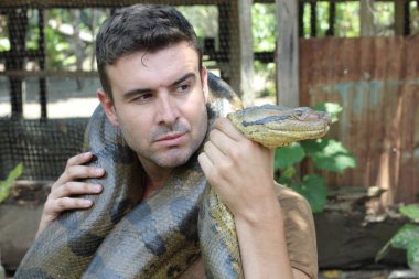 Dev bir yılana sevgi gösteren bir adam.
