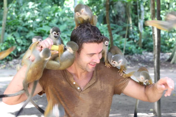 Bonito Homem Divertindo Com Grupo Macaco Titi — Fotografia de Stock