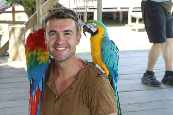 Handsome Man Interacting Two Gorgeous Macaws — 스톡 사진