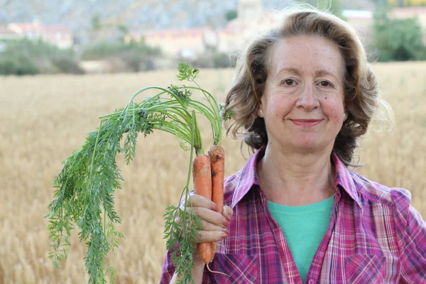 Agricoltrice Matura Che Detiene Carote Campo — Foto Stock