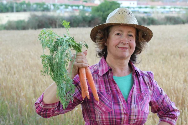 Agricoltrice Matura Che Detiene Carote Campo — Foto Stock