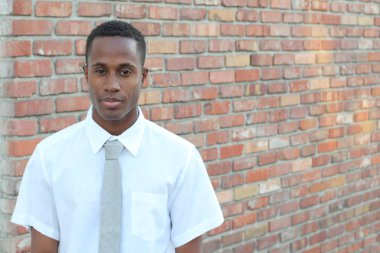 Beyaz gömlekli yakışıklı Afro-Amerikan bir adamın yakın plan portresi. Tuğla duvarın önünde kravat takmış.