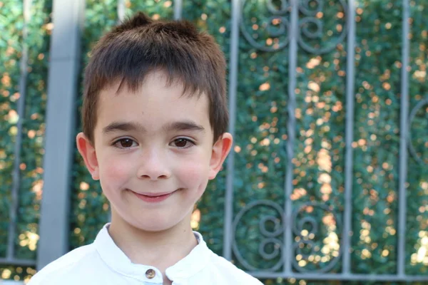 Mignon Petit Garçon Debout Dans Parc Pendant Journée — Photo