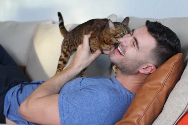 Egzotik kedi yakışıklı sahibiyle oynuyor.