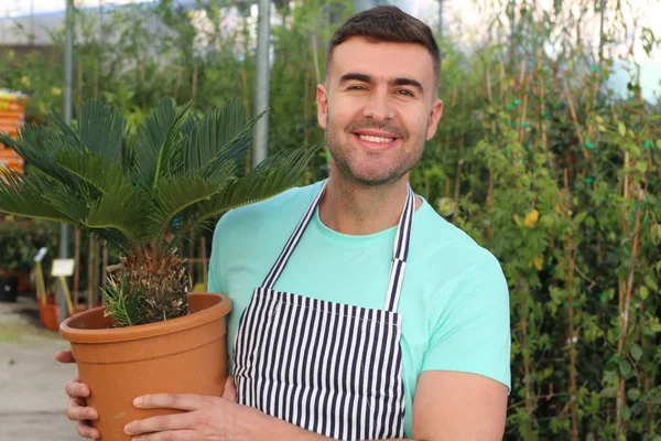 Uomo Che Lavora Centro Giardino — Foto Stock