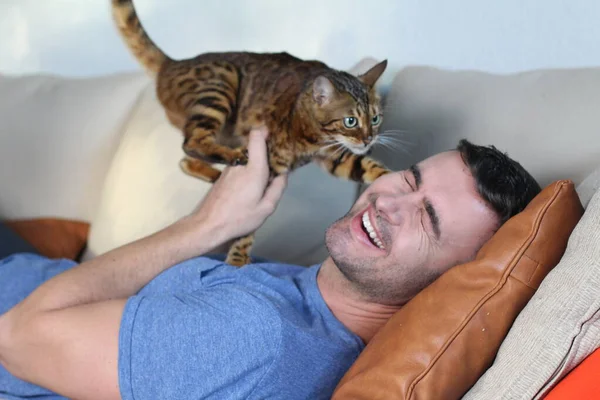 Exotische Katze Spielt Mit Seinem Hübschen Besitzer — Stockfoto