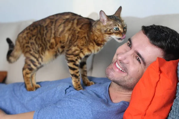 Exotische Katze Spielt Mit Seinem Hübschen Besitzer — Stockfoto