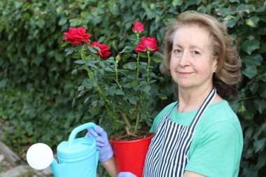 Bahçedeki çiçekleri sulayan güzel olgun bir kadının yakın plan portresi.