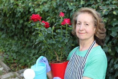 Bahçedeki çiçekleri sulayan güzel olgun bir kadının yakın plan portresi.