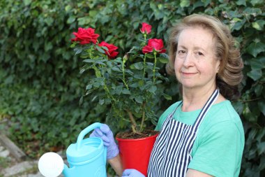Bahçedeki çiçekleri sulayan güzel olgun bir kadının yakın plan portresi.
