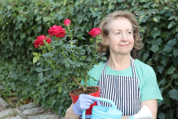 Ritratto Ravvicinato Bella Donna Matura Che Annaffia Piante Giardino — Foto Stock