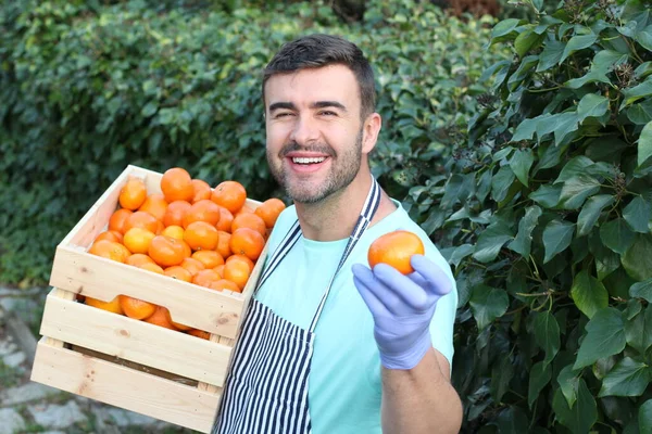 Primer Plano Retrato Joven Guapo Con Caja Madera Naranjas Jardín — Foto de Stock