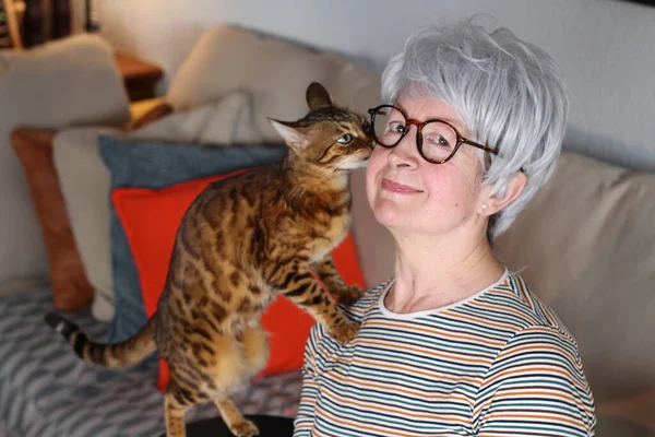 Hilfreiche Katze Spricht Besitzerin — Stockfoto