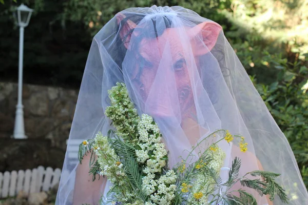 Retrato Cercano Novia Máscara Terror Con Bouquet Novia Vestido Jardín —  Fotos de Stock