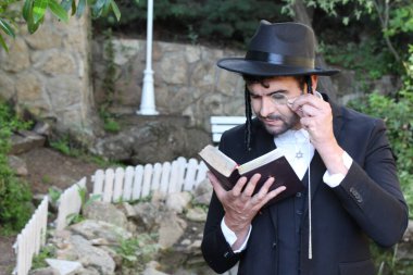 Geleneksel şapkalı yakışıklı hahamın doğal arka planda Tanakh ile yakın plan portresi.