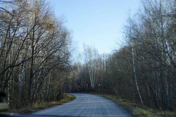 yol, Sonbahar, doğa, manzara, orman, yol 